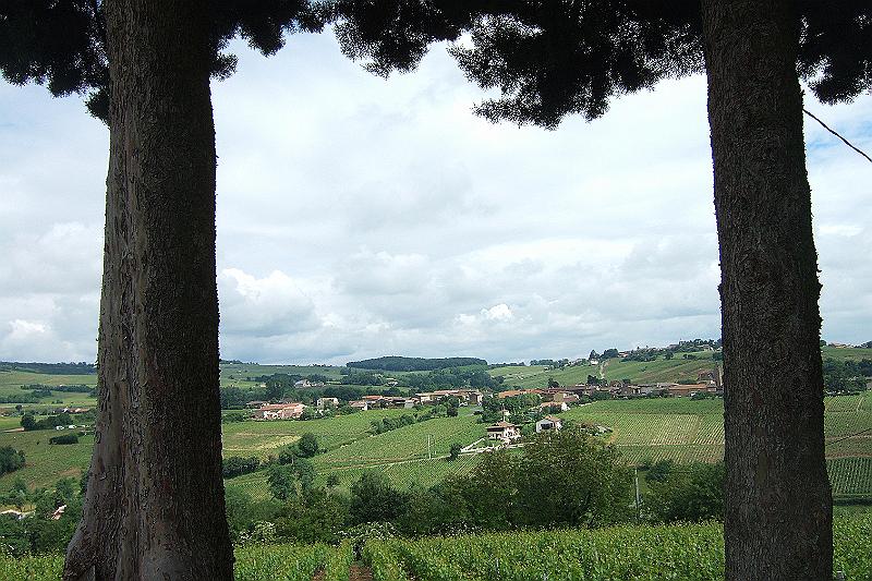 2010-06- (61).JPG